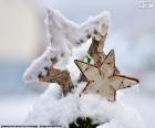Две звезды с снег